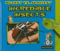 Biggest vs. Smallest Incredible Insects