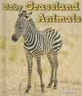 Baby Grassland Animals