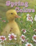 Spring Colors