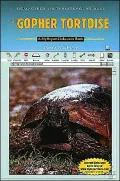The Gopher Tortoise