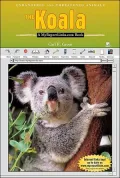The Koala