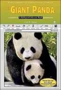 Giant Panda: A Myreportlinks. COM Book