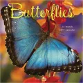 2011 Butterflies Wall Calendar