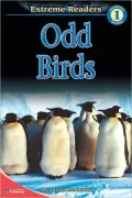Odd Birds