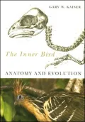The Inner Bird