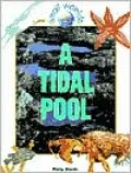 A Tidal Pool