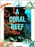 A Coral Reef