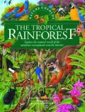 Nature Unfolds the Tropical Rainforest