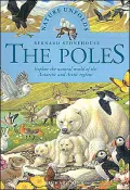 Nature Unfolds the Poles