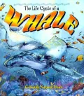 The Life Cycle of a Whale