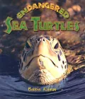 Endangered Sea Turtles