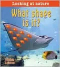 What Shape Is It?