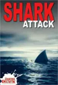 Shark Attack, Vol. 4