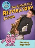 The Remarkable Respiratory System: How do my lungs work?