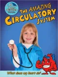 The Amazing Circulatory System: How does my heart work?