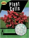 Plant Cells
