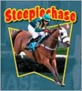 Steeplechase