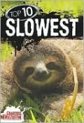 Top 10 Slowest