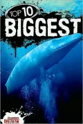 Top 10 Biggest