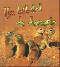 UN Habitat De Desierto
