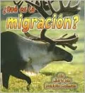 Que Es LA Migracion?