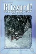 Blizzard!: Snowstorm Fury