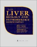 The Liver