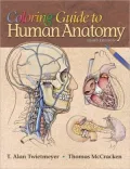Regional Human Anatomy