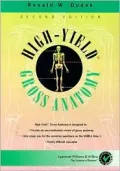High-yield gross anatomy