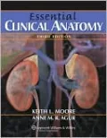 Essential Clinical Anatomy