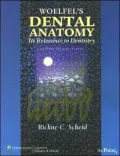 Woelfel's Dental Anatomy: Its Relevance to Dentistry