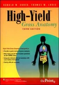 High-Yield™ Gross Anatomy