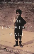 Invisible Wall