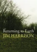 Returning to Earth