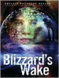Blizzard's Wake