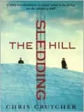 The Sledding Hill