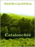 Cataloochee