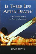 Is there Life after Death?: An Examination of the Empirical Evidence
