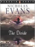 The Divide