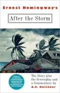 After the Storm: The Story, Plus the Screenplay and a Commentary