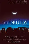 Brief History of the Druids