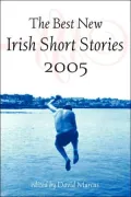 The Best New Irish Short Stories of 2005