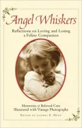 Angel Whiskers: Reflections On Loving And Losing A Feline Companion