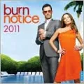 2011 Burn Notice Wall Calendar