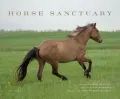 Horse Sanctuary