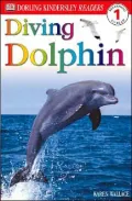 Diving Dolphin