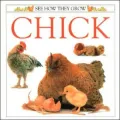 Chick
