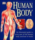 Human Body