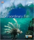 Extraordinary Fish