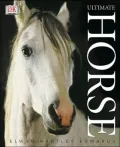 Ultimate Horse